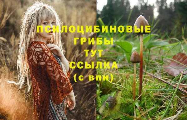 крисы Пролетарск