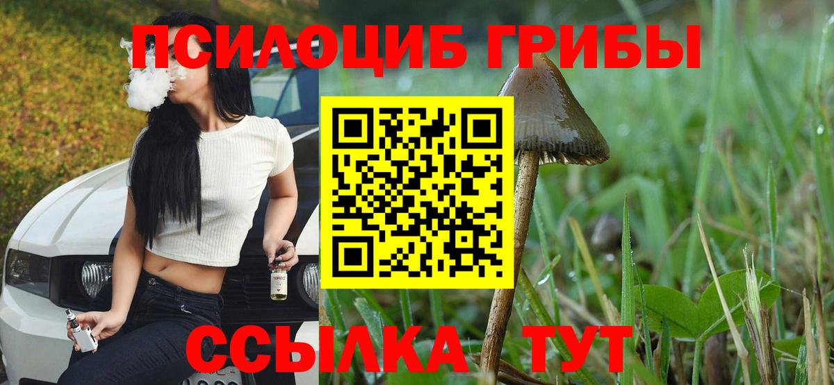 ГЕРОИН  Моршанск  Бошки Шишки  Где купить наркотики?  МЕФ кристаллы  Вейп ТГК  КОКАИН  Метамфетамин  Вход с VPN 