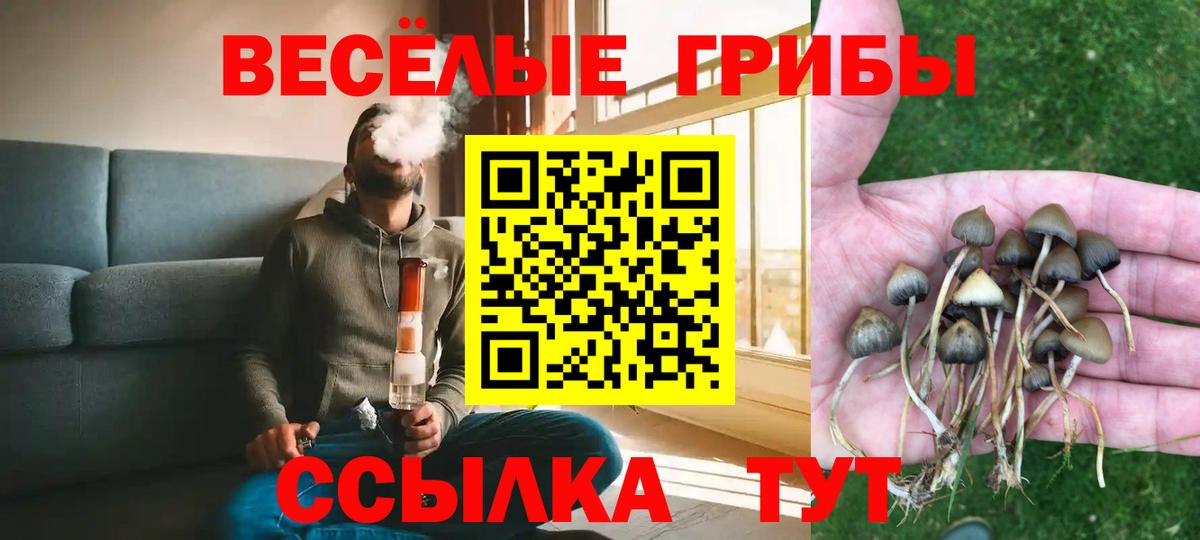 Галлюциногенные грибы Magic Shrooms  Вход с VPN  Моршанск  Псилоцибиновые грибы MAGIC MUSHROOMS 