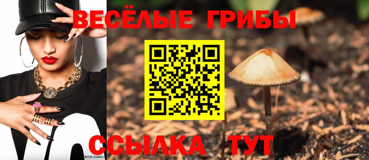 Псилоцибиновые грибы мухоморы Моршанск